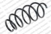 LESJ?FORS 4063557 Coil Spring